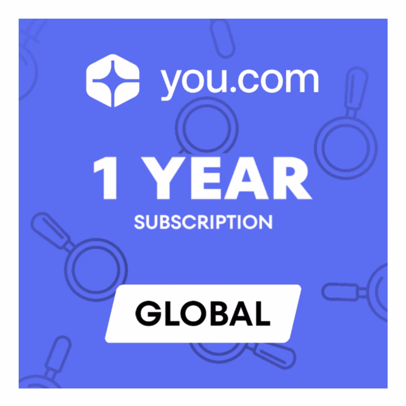 You.com Pro Subscription 12 Months (Global)